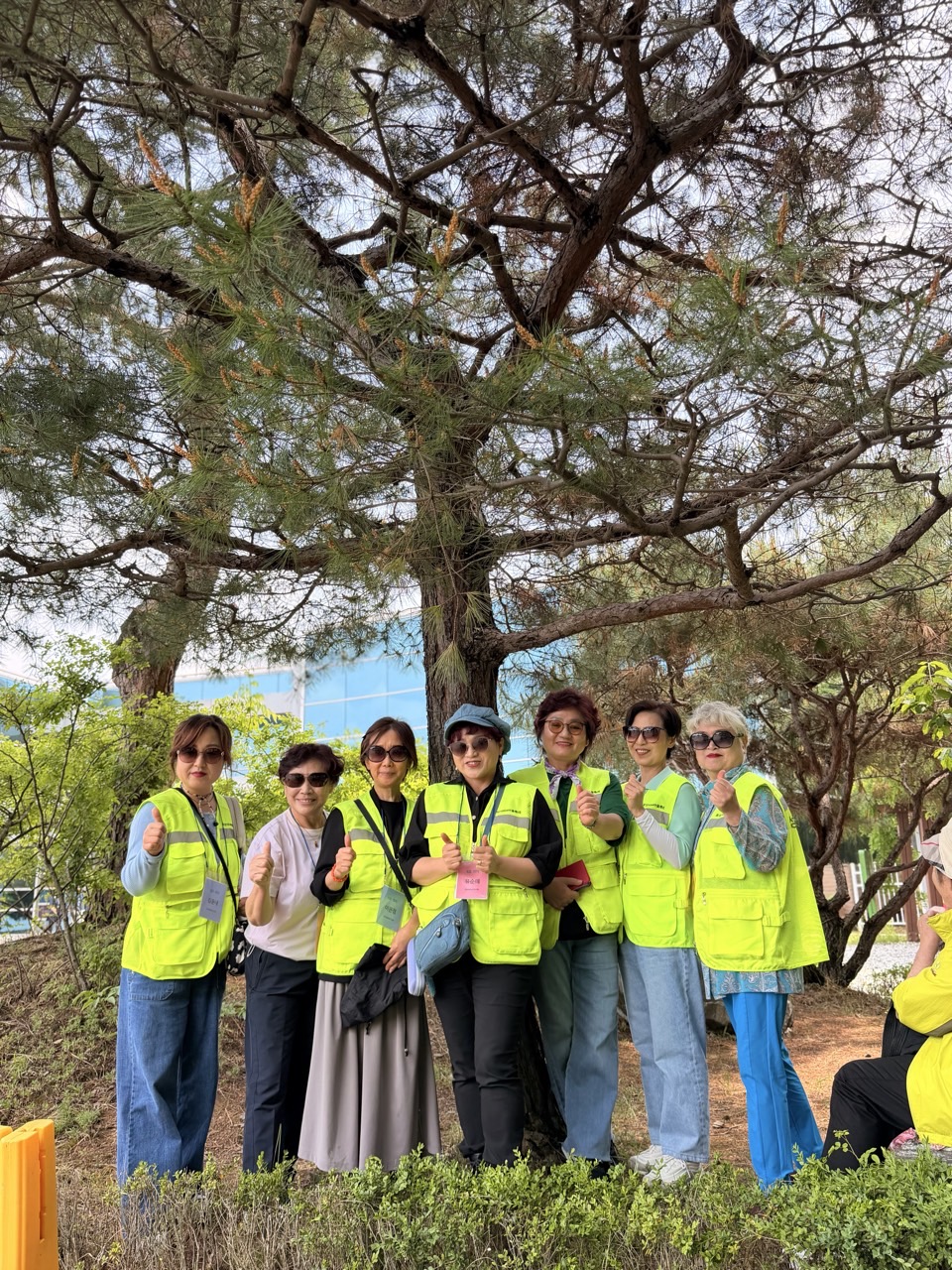 27.jpg
